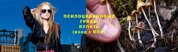 гидропоника Аркадак