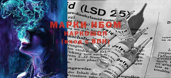 мяу мяу мука Баксан