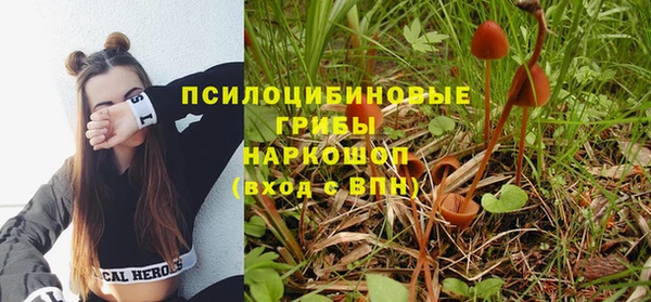 гидропоника Аркадак