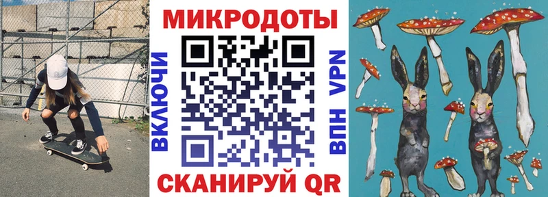 мориарти телеграм  Себеж  Псилоцибиновые грибы Psilocybe 