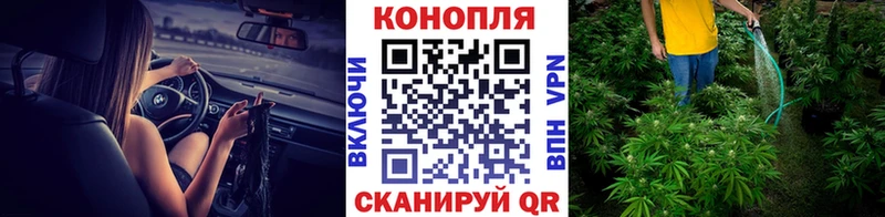дарнет шоп Себеж Бошки Шишки конопля